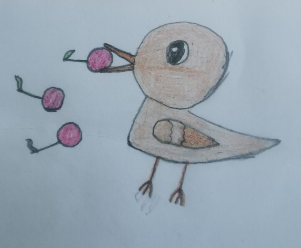 Ako mal Čimo rád čerešne
